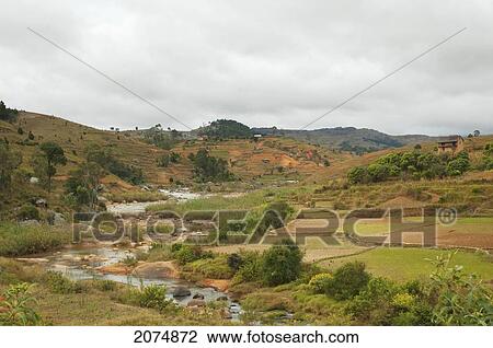 On The Road Between Antananarivo & Ambositra, Antananarivo Province, Madagascar View Large Photo Image Stock Image - On The Road Between Antananarivo & Ambositra, Antananarivo Province, Madagascar. Fotosearch