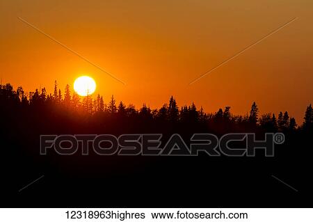 Stock Photograph - Orange sunset with silhouetted hillside of evergreen trees; Elkwater, Alberta, Canada. Fotosearch