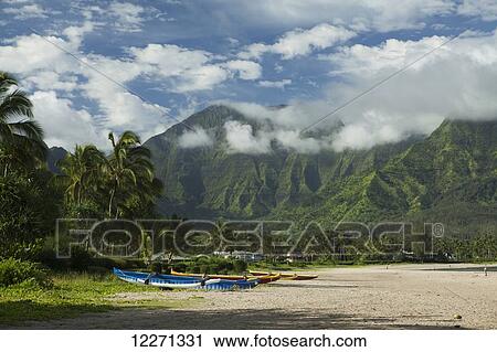 Outrigger canoes on Hanalei Beach, Bay and Valley; Hanalei, Kauai, Hawaii, United States of America View Large Photo Image Stock Image - Outrigger canoes on Hanalei Beach, Bay and Valley; Hanalei, Kauai, Hawaii, United States of America. Fotosearch