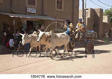 Stock Photograph - Ox cart, Monday Market, Djenne, Mali. Fotosearch