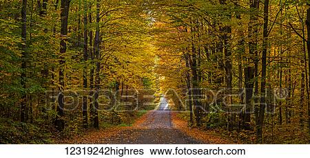 Panorama of country road in autumn; Iron Hill, Quebec, Canada View Large Photo Image Stock Photograph - Panorama of country road in autumn; Iron Hill, Quebec, Canada. Fotosearch
