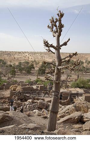 Stock Image - Panorama Of Tireli On The Bandiagara Escarpment, Mali. Fotosearch