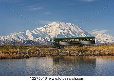 Park bus parked along the park road next to a pond with Mt. McKinley towering in the background, Denali National Park, Alaska View Large Photo Image Stock Photograph - Park bus parked along the park road next to a pond with Mt. McKinley towering in the background, Denali National Park, Alaska. Fotosearch
