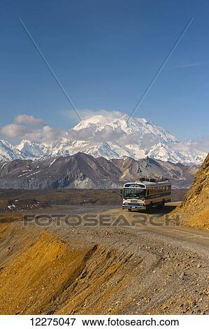 Stock Photo - Park bus rounding a corner on the park road with Mt. McKinley towering in the background, Denali National Park, Alaska. Fotosearch