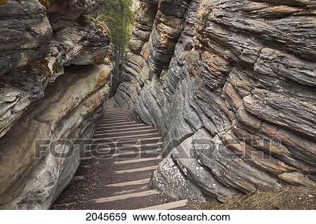 Stock Photo - Pathway To The Athabasca River Below Athabasca Falls, Jasper National Park, Alberta Canada.. Fotosearch