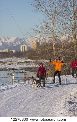 People cross country ski and skijor with an Alaska Husky on the Tony Knowles Coastal Trail near Earthquake Park with Anchorage skyline in the background, Cook Inlet, Southcentral Alaska View Large Photo Image Stock Image - People cross country ski and skijor with an Alaska Husky on the Tony Knowles Coastal Trail near Earthquake Park with Anchorage skyline in the background, Cook Inlet, Southcentral Alaska. Fotosearch