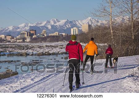 People cross country ski and skijor with an Alaska Husky on the Tony Knowles Coastal Trail near Earthquake Park with Anchorage skyline in the background, Cook Inlet, Southcentral Alaska View Large Photo Image Stock Image - People cross country ski and skijor with an Alaska Husky on the Tony Knowles Coastal Trail near Earthquake Park with Anchorage skyline in the background, Cook Inlet, Southcentral Alaska. Fotosearch