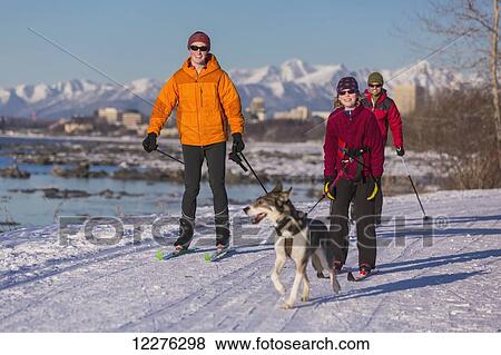 Stock Photo - People cross country ski and skijor with an Alaska Husky on the Tony Knowles Coastal Trail near Earthquake Park with Anchorage skyline in the background, Cook Inlet, Southcentral Alaska. Fotosearch