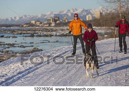 People cross country skiing on the Tony Knowles Coastal Trail near Earthquake Park with Anchorage skyline in the background, Cook Inlet, Southcentral Alaska View Large Photo Image Picture - People cross country skiing on the Tony Knowles Coastal Trail near Earthquake Park with Anchorage skyline in the background, Cook Inlet, Southcentral Alaska. Fotosearch