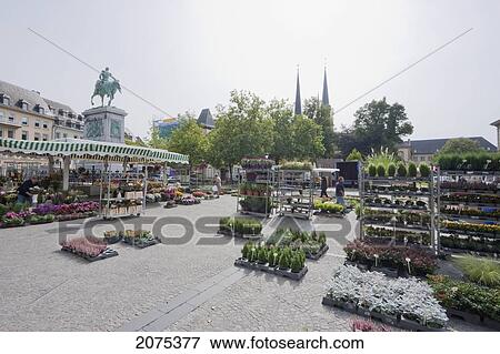 Stock Photo - Plants For Sale On The Open Air Market On Place Guillaume Ii, Luxembourg. Fotosearch