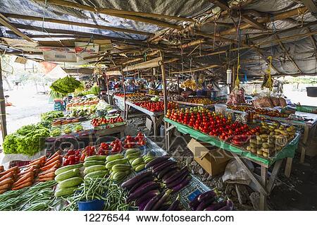 Produce for sale at the Largo de Lecidere market; Dili, East Timor View Large Photo Image Picture - Produce for sale at the Largo de Lecidere market; Dili, East Timor. Fotosearch