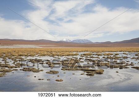 Stock Image - Puritama River With The Putana Volcano In The Background, Antofagasta Region, Chile. Fotosearch