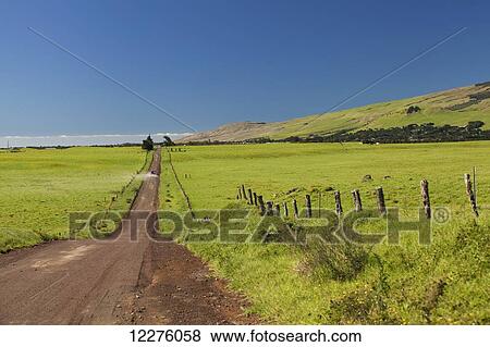 Ranch Road in North Kohala; Waimea, Island of Hawaii, Hawaii, United States of America View Large Photo Image Stock Photo - Ranch Road in North Kohala; Waimea, Island of Hawaii, Hawaii, United States of America. Fotosearch