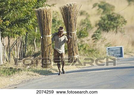 Ranohira, Fianarantsoa Province, Madagascar View Large Photo Image Stock Photo - Ranohira, Fianarantsoa Province, Madagascar. Fotosearch