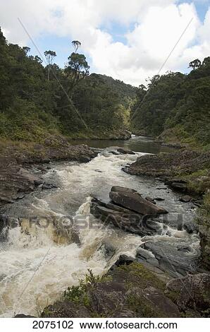 Stock Image - Ranomafana River, Ranomafana National Park, Fianarantsoa Province, Madagascar. Fotosearch