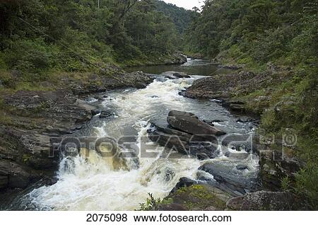 Ranomafana River, Ranomafana National Park, Fianarantsoa Province, Madagascar View Large Photo Image Stock Photo - Ranomafana River, Ranomafana National Park, Fianarantsoa Province, Madagascar. Fotosearch