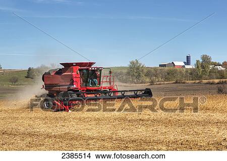 Picture - Red combine harvesting beans on a sunny autumn day in Northeast Iowa; Iowa, United States of America. Fotosearch