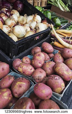 Red potatoes and various other produce in crates; Lititz, Pennsylvania, United States of America View Large Photo Image Stock Photograph - Red potatoes and various other produce in crates; Lititz, Pennsylvania, United States of America. Fotosearch