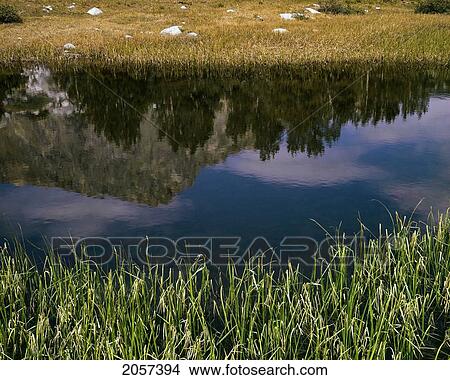 Reflection In Tarn Below Brown Lake, California Sierra Nevada View Large Photo Image Picture - Reflection In Tarn Below Brown Lake, California Sierra Nevada. Fotosearch