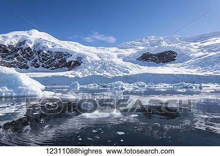 Reflections in the water in Neko Harbour; Antarctica View Large Photo Image Stock Photograph - Reflections in the water in Neko Harbour; Antarctica. Fotosearch