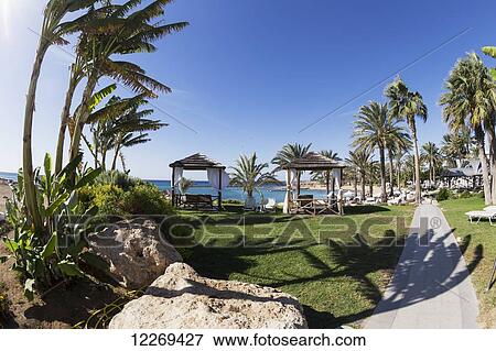 Stock Photo - Resort with palm tree and shelters along the waterfront; Geroskipou, Cyprus. Fotosearch