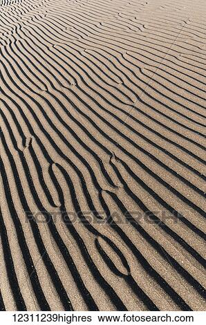 Ripples in the sand View Large Photo Image Stock Photograph - Ripples in the sand. Fotosearch