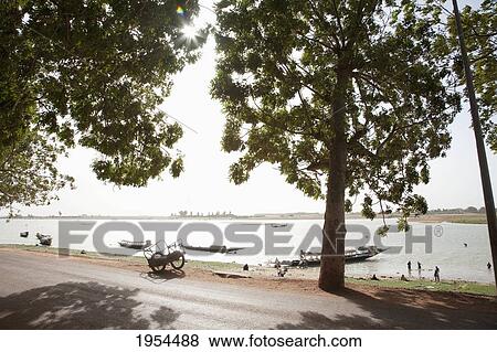 Road and trees in front of boats on the Niger River in Mopti, Mali View Large Photo Image Stock Photo - Road and trees in front of boats on the Niger River in Mopti, Mali. Fotosearch