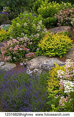 Stock Photograph - Rock garden and colourful blossoming plants; Knowlton, Quebec, Canada. Fotosearch