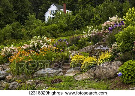 Stock Photograph - Rock garden and colourful blossoming plants; Knowlton, Quebec, Canada. Fotosearch