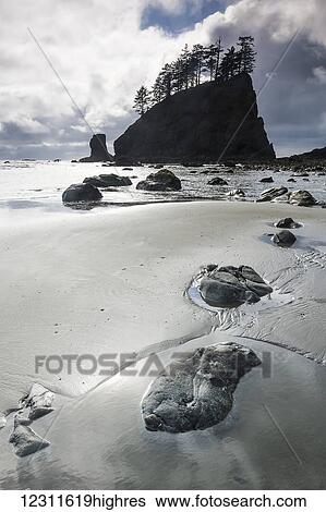 Rocks on Second Beach, Olympic National Park; Washington, United States of America View Large Photo Image Stock Photograph - Rocks on Second Beach, Olympic National Park; Washington, United States of America. Fotosearch