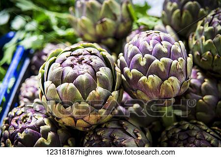 Stock Photograph - Roman artichokes for sale at Piazza dell'Unita Market; Rome, Italy. Fotosearch