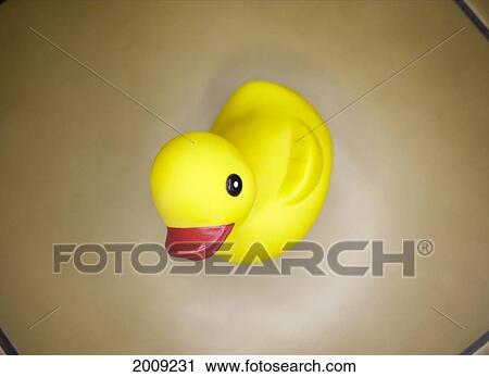Rubber Ducky On Tile Floor View Large Photo Image Stock Image - Rubber Ducky On Tile Floor. Fotosearch