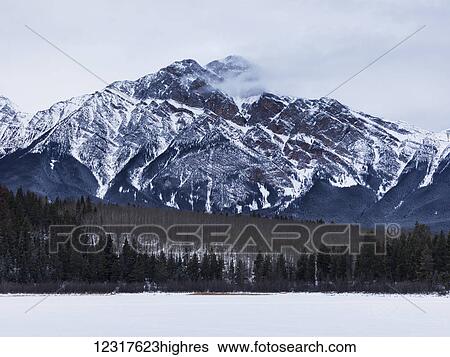Rugged mountain and forest in Jasper National Park; Alberta, Canada View Large Photo Image Stock Photograph - Rugged mountain and forest in Jasper National Park; Alberta, Canada. Fotosearch