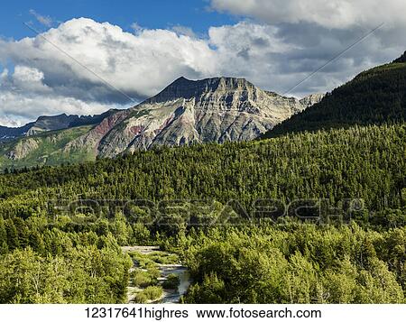 Stock Photograph - Rugged mountains and forested landscape, Waterton Lakes National Park; Alberta, Canada. Fotosearch