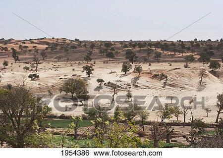 Sahel Landscape As Seen From The Bandiagara Escarpment In Tireli, Mali View Large Photo Image Stock Photograph - Sahel Landscape As Seen From The Bandiagara Escarpment In Tireli, Mali. Fotosearch