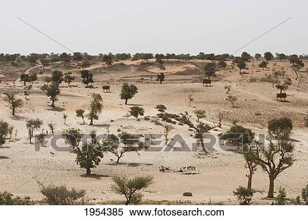 Sahel Landscape As Seen From The Bandiagara Escarpment In Tireli, Mali View Large Photo Image Stock Photography - Sahel Landscape As Seen From The Bandiagara Escarpment In Tireli, Mali. Fotosearch