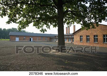 Sauna (Disinfection), Auschwitz-Birkenau Concentration Camp, Oswiecim, Malopolska, Poland View Large Photo Image Stock Photograph - Sauna (Disinfection), Auschwitz-Birkenau Concentration Camp, Oswiecim, Malopolska, Poland. Fotosearch