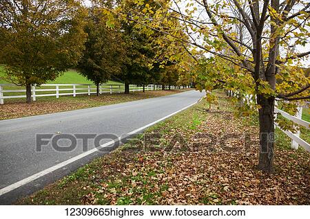 Scenic farm road in autumn; Woodstock, Vermont, United States of America View Large Photo Image Stock Photograph - Scenic farm road in autumn; Woodstock, Vermont, United States of America. Fotosearch