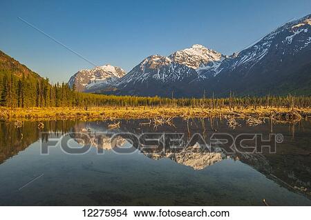 Picture - Scenic view of Chugach Mountains reflecting in a pond, Eagle River Valley, Chugach State Park, Southcentral Alaska, Summer. Fotosearch