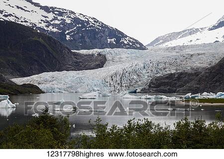 Scenic view of Mendenhall Glacier and lake, Juneau, Southeast Alaska, USA View Large Photo Image Stock Photograph - Scenic view of Mendenhall Glacier and lake, Juneau, Southeast Alaska, USA. Fotosearch
