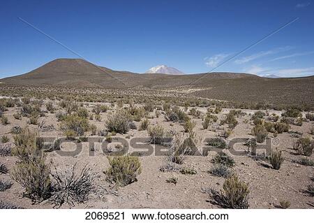 Stock Image - Scrubland With The Ollag. Fotosearch