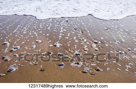 Sea foam trails from beached pebbles as the tide is pulled out; South Shields, Tyne and Wear, England View Large Photo Image Stock Photograph - Sea foam trails from beached pebbles as the tide is pulled out; South Shields, Tyne and Wear, England. Fotosearch