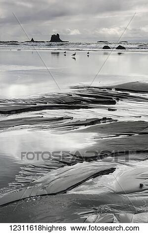 Stock Photograph - Second Beach sand formations, Olympic National Park; Washington, United States of America. Fotosearch