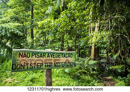 Stock Photograph - Sign in Monumento Natural Caldeira Velha, National Park; Sao Miguel, Azores, Portugal. Fotosearch