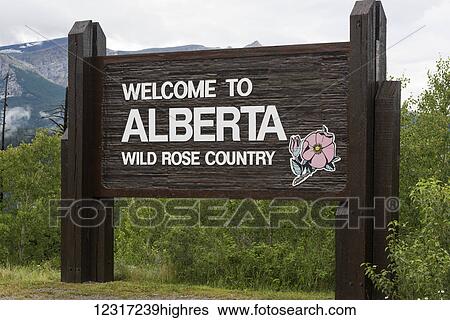 Sign saying welcome to Alberta, Wild Rose Country; Alberta, Canada View Large Photo Image Stock Photograph - Sign saying welcome to Alberta, Wild Rose Country; Alberta, Canada. Fotosearch