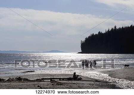 Stock Image - Silhouette of family/friends with dog walking on sandy beach strewn with driftwood and bullwhip kelp; China Beach, Vancouver Island, British Columbia. Fotosearch