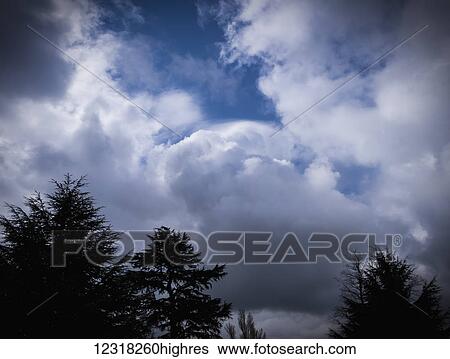 Silhouetted trees against a dramatic stormy sky in Richmond; London, England View Large Photo Image Stock Photograph - Silhouetted trees against a dramatic stormy sky in Richmond; London, England. Fotosearch
