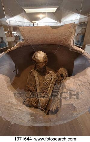 Picture - Skeleton In A Pot On Display At The Archaeological Museum R. P. Gustavo Le Paige, San Pedro De Atacama, Antofagasta Region, Chile. Fotosearch