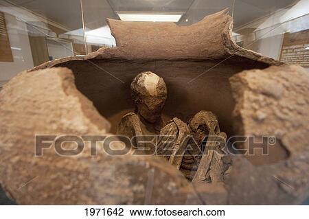 Stock Image - Skeleton In A Pot On Display At The Archaeological Museum R. P. Gustavo Le Paige, San Pedro De Atacama, Antofagasta Region, Chile. Fotosearch
