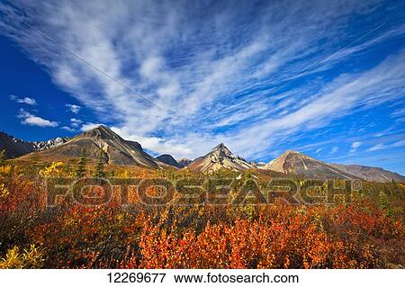 Stock Photo - Skookum Volcano with fall colors under blue sky, Nabesna Road, Wrangell-St. Elias National Park & Preserve, Southcentral Alaska. Fotosearch